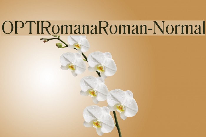 OPTIRomanaRoman-Normal Font examples
