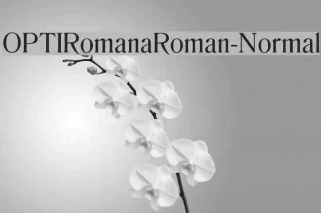 OPTIRomanaRoman-Normal Fonte examples