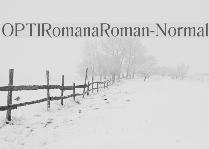 OPTIRomanaRoman-Normal Font examples