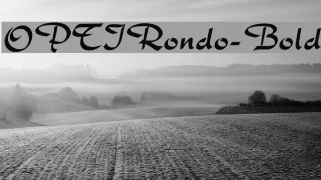 OPTIRondo-Bold Font examples