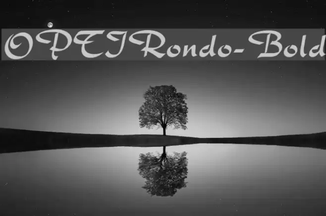 OPTIRondo-Bold Font examples