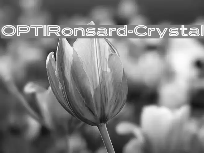 OPTIRonsard-Crystal Font examples