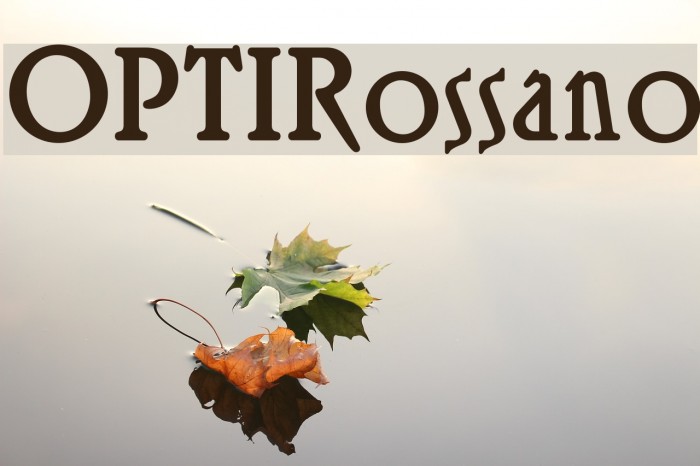 OPTIRossano Font examples