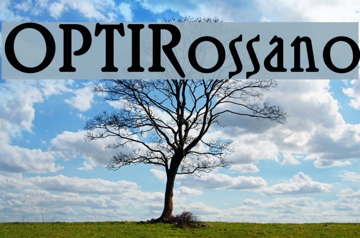 OPTIRossano Font examples