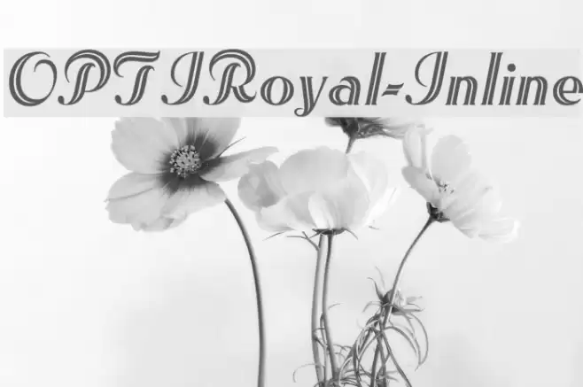 OPTIRoyal-Inline Font examples