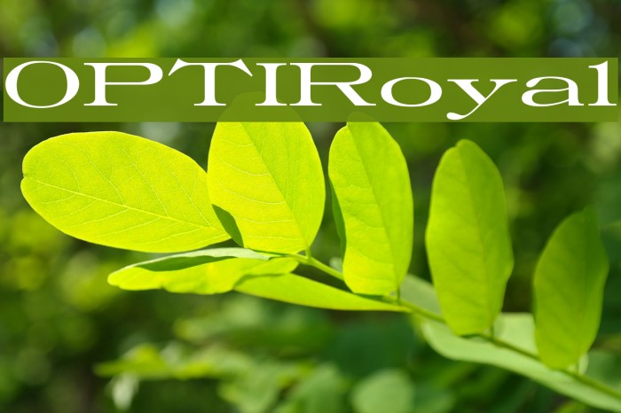 OPTIRoyal Font examples