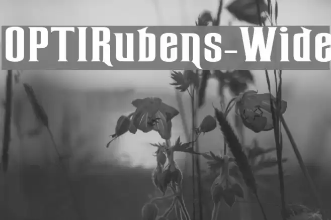 OPTIRubens-Wide Font examples