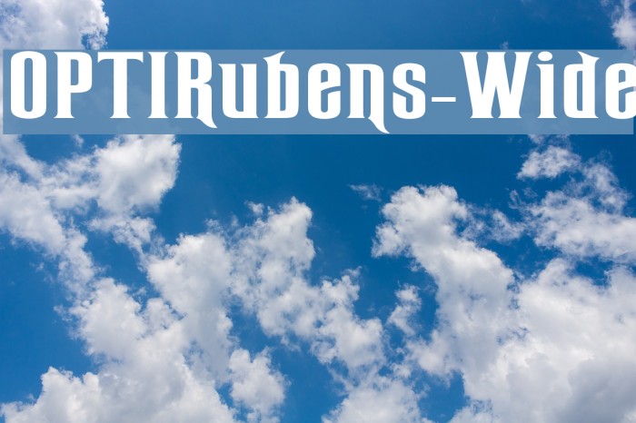 OPTIRubens-Wide Example 2