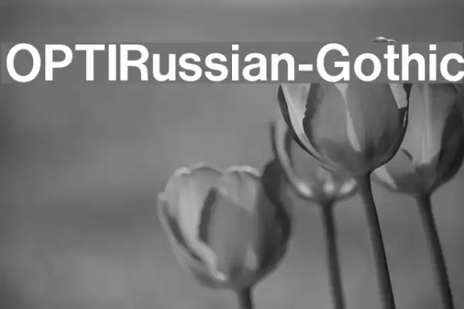OPTIRussian-Gothic Font examples