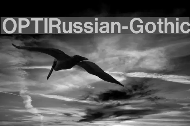 OPTIRussian-Gothic Font examples