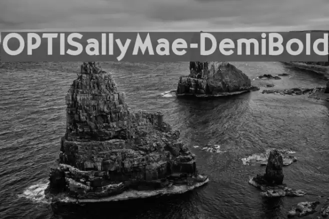 OPTISallyMae-DemiBold Font examples