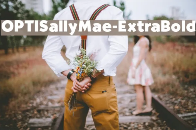 OPTISallyMae-ExtraBold Example 1