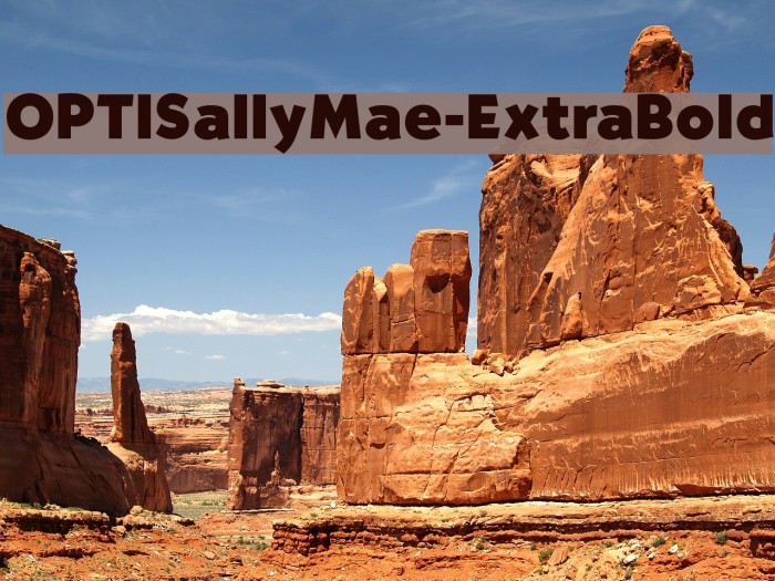 OPTISallyMae-ExtraBold Font examples