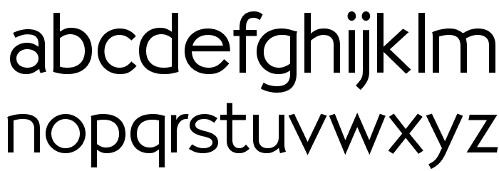 OPTISallyMae-Light Font LOWERCASE