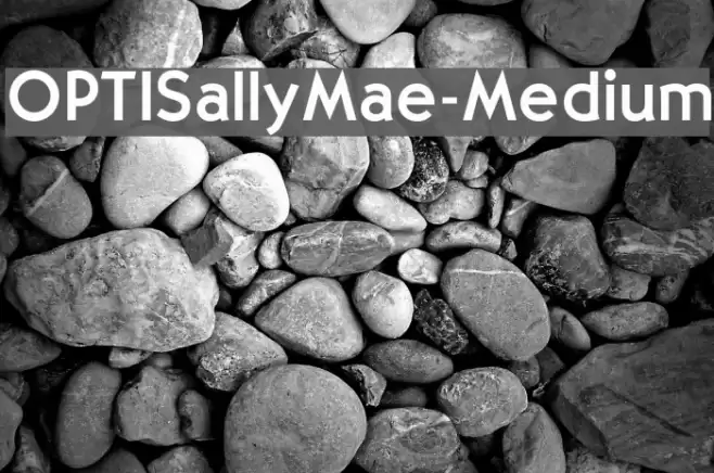 OPTISallyMae-Medium Font examples