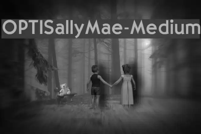 OPTISallyMae-Medium Font examples