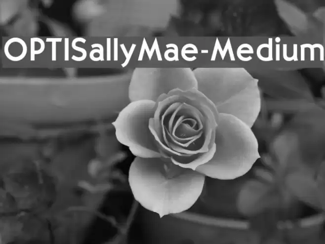 OPTISallyMae-Medium Font examples