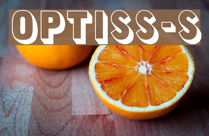 OPTISansSerif-Shaded Font examples