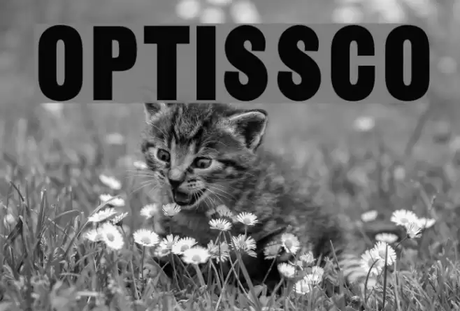 OPTISansSerifCondensedOne Polices examples