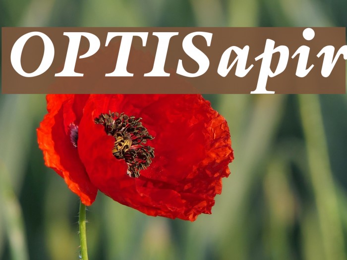 OPTISapir Font examples