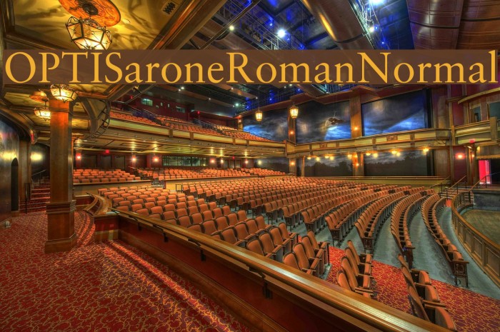 OPTISaroneRomanNormal Font examples