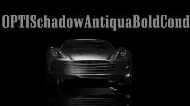 OPTISchadowAntiquaBoldCond Font examples