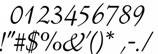 OPTISchneidler-Swash Font OTHER CHARS