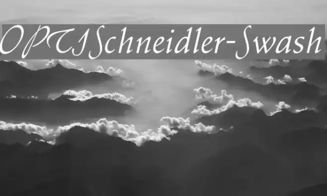 OPTISchneidler-Swash Font examples