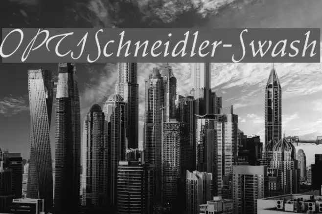 OPTISchneidler-Swash Font examples