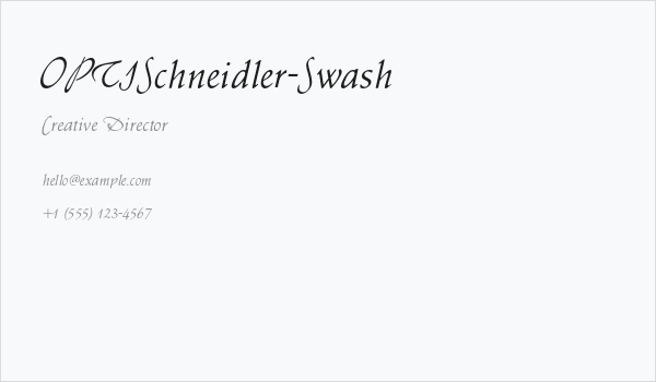 OPTISchneidler-Swash Business Card