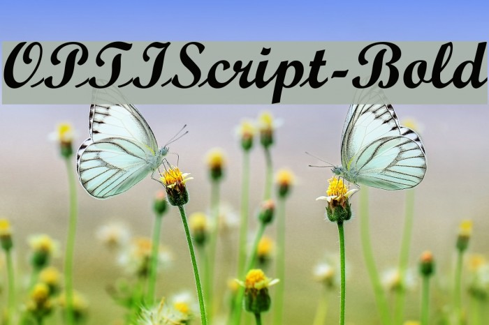 OPTIScript-Bold Font examples