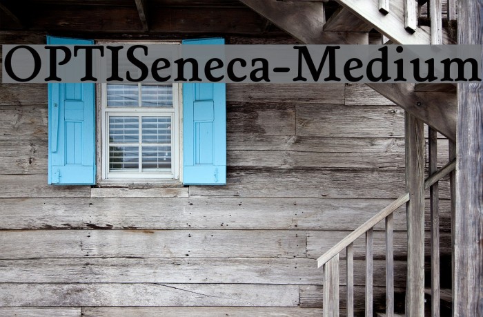 OPTISeneca-Medium Font examples