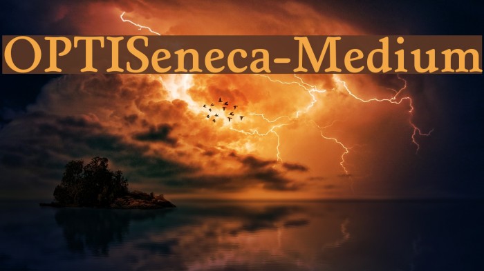 OPTISeneca-Medium Font examples
