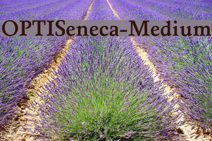 OPTISeneca-Medium Font examples