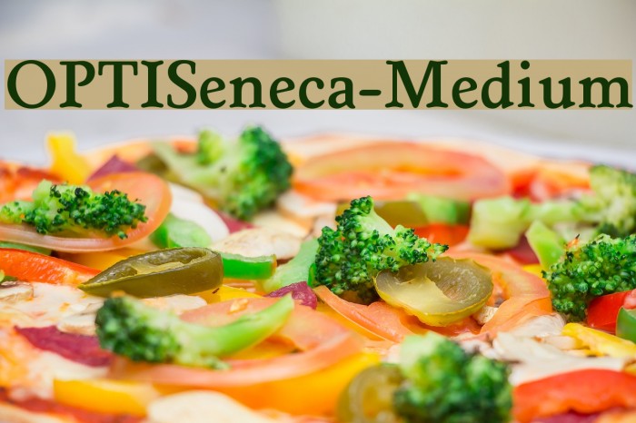 OPTISeneca-Medium Font examples