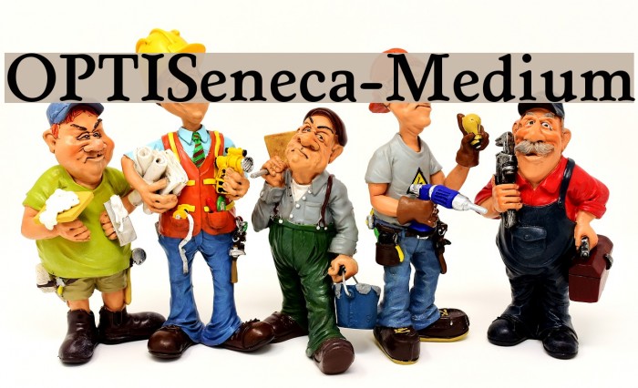 OPTISeneca-Medium Font examples