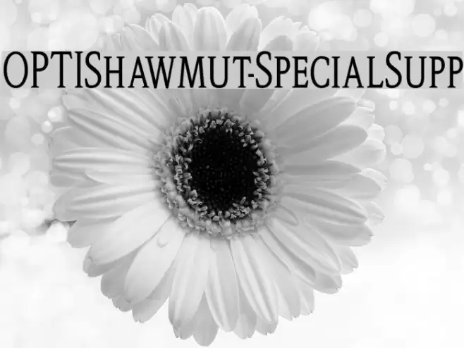 OPTIShawmut-SpecialSupp Font examples