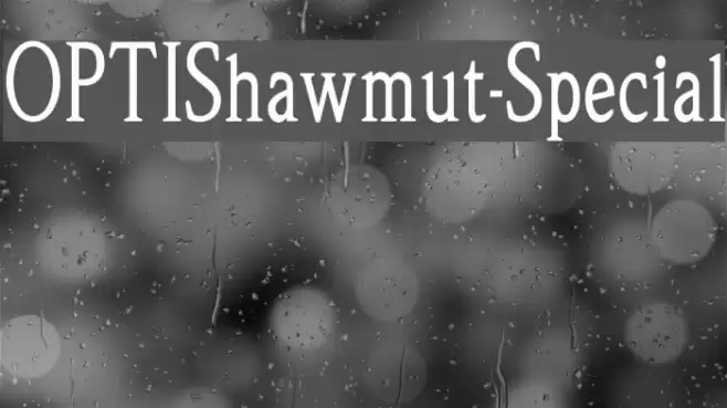 OPTIShawmut-Special Polices examples