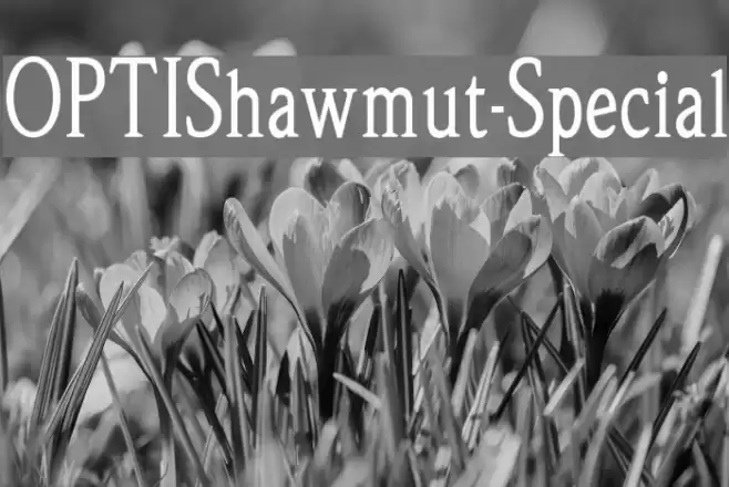 OPTIShawmut-Special Polices examples