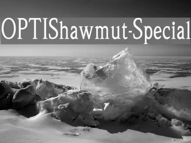 OPTIShawmut-Special Polices examples