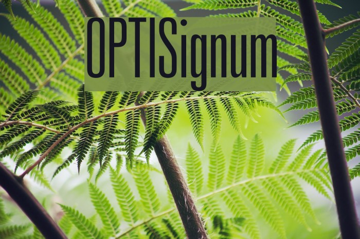 OPTISignum Font examples