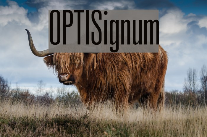OPTISignum Font examples