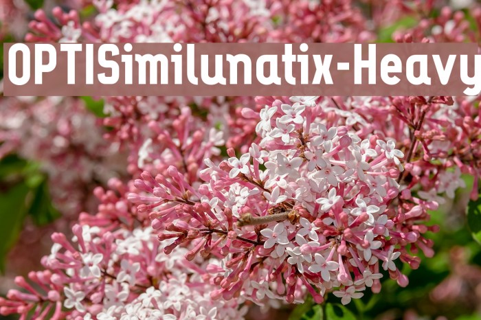 OPTISimilunatix-Heavy Font examples