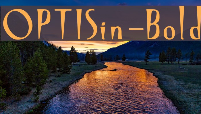 OPTISin-Bold Example 1