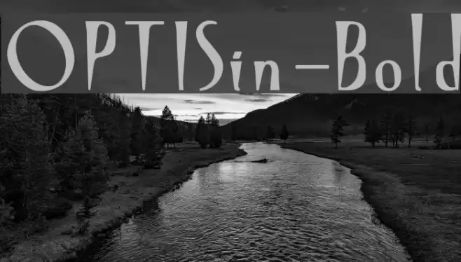 OPTISin-Bold Font examples