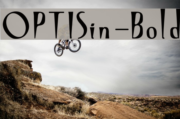 OPTISin-Bold Example 2