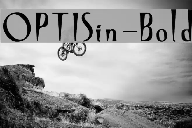 OPTISin-Bold Font examples