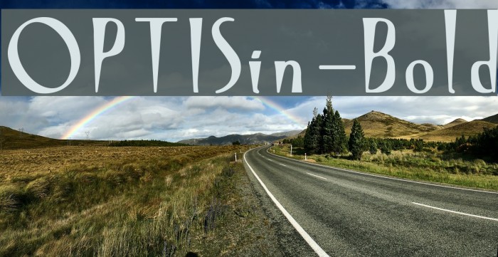 OPTISin-Bold Example 3