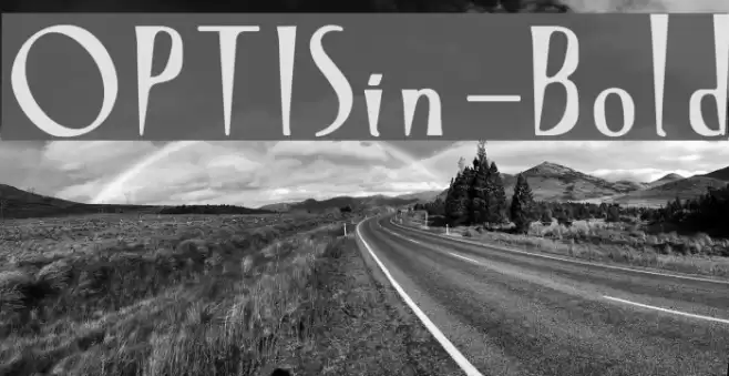 OPTISin-Bold Font examples