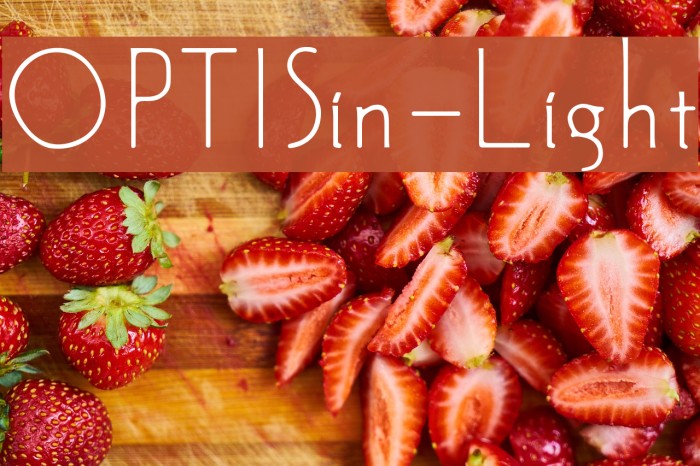 OPTISin-Light Font examples